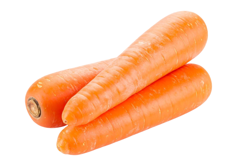 zanahoria